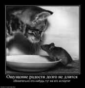 Прикрепленное изображение: 919601_oschuschenie_radosti_dolgo_ne_dlitsya.jpg