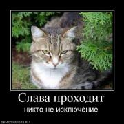 Прикрепленное изображение: 31116_slava_prohodit.jpg