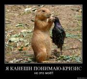 Прикрепленное изображение: 4vh7nqeqdgbn.jpg