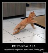 Прикрепленное изображение: 1x67ls7i6sfk.jpg