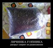 Прикрепленное изображение: 5hzjgqa4m3lk.jpg