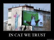 Прикрепленное изображение: cxelfhhemdsz.jpg