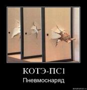 Прикрепленное изображение: 658fcdb7ep8t.jpg