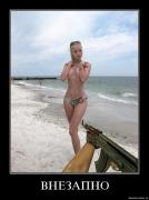 Прикрепленное изображение: 1n9osomsntpl.jpg