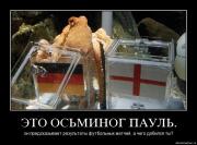 Прикрепленное изображение: 7k65qdd7feix.jpg