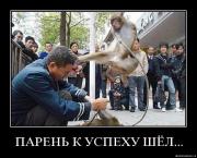 Прикрепленное изображение: ue94k5u109y5.jpg