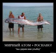 Прикрепленное изображение: 7ldaeumgfva3.jpg