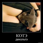 Прикрепленное изображение: 80sbb0fzxqba.jpg