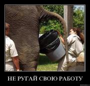 Прикрепленное изображение: c5gnn5kbut7k.jpg