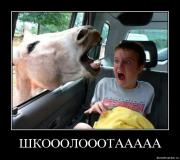 Прикрепленное изображение: re22gt1iruik.jpg