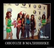 Прикрепленное изображение: tq43as0np62r.jpg