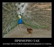 Прикрепленное изображение: y99l30dvnb4e.jpg