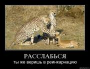 Прикрепленное изображение: clqk36p845op.jpg