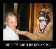 Прикрепленное изображение: eoq8n89otnot.jpg