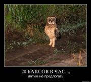 Прикрепленное изображение: 80ejq0vfesr1.jpg