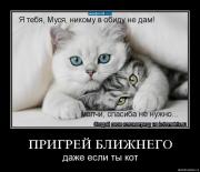 Прикрепленное изображение: 8yi8yjm0wg3r.jpg