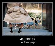 Прикрепленное изображение: bh06hxe5ou3l.jpg