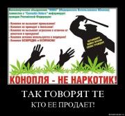 Прикрепленное изображение: bpp60t1qyann.jpg