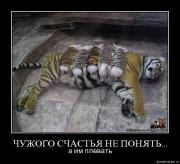 Прикрепленное изображение: hqz82tn4rnl8.jpg