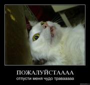 Прикрепленное изображение: 3gbrlqdaasnk.jpg