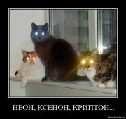 Прикрепленное изображение: aksucznno3lk.jpg