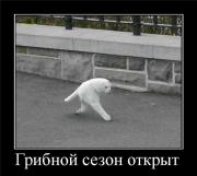 Прикрепленное изображение: 24cf824d8d37.jpg