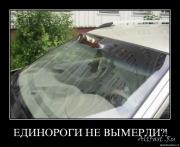 Прикрепленное изображение: 1249316564_bkzg3i0bp5oz.jpg