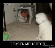 Прикрепленное изображение: 1249316611_grek8dpekf3a.jpg