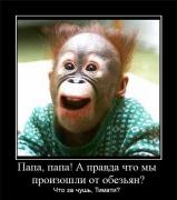 Прикрепленное изображение: dbd614a7021b.jpg