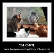 Прикрепленное изображение: f0ufxrdg66lg.jpg