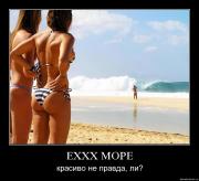 Прикрепленное изображение: hw3amjoemiqa.jpg