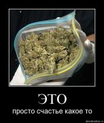 Прикрепленное изображение: n9uwe8e5yucy.jpg