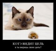 Прикрепленное изображение: kmm1zzvkcyvd.jpg