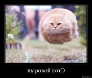 Прикрепленное изображение: rldjukfss2rw.jpg