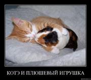 Прикрепленное изображение: t385m6a84u2k.jpg