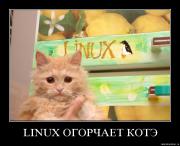 Прикрепленное изображение: xdeva700q0ok.jpg