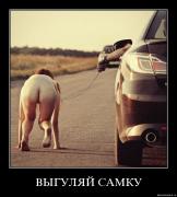 Прикрепленное изображение: ktgbq6l4jet3.jpg