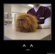 Прикрепленное изображение: f7f9mn825fzf.jpg