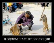 Прикрепленное изображение: hrib1kztacs5.jpg