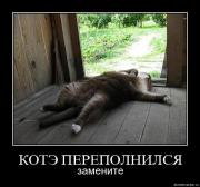 Прикрепленное изображение: 0vuh6tx0kq11.jpg