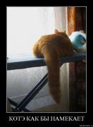 Прикрепленное изображение: 0x2m7c2qcgr0.jpg