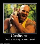 Прикрепленное изображение: 297925_slabosti.jpg