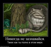 Прикрепленное изображение: 428579_nikogda_ne_zaznavajsya.jpg