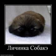 Прикрепленное изображение: 56381031.jpg