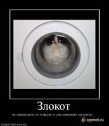 Прикрепленное изображение: 1276549628_69a5d6.jpg