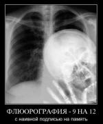 Прикрепленное изображение: 1307798566_1307661224_demo_2.jpg