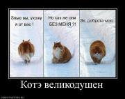 Прикрепленное изображение: 92941_kote_velikodushen.jpg