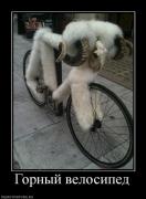 Прикрепленное изображение: 651699_gornyij_velosiped.jpg