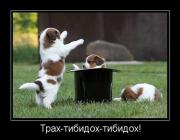 Прикрепленное изображение: x_cbc453e3.jpg