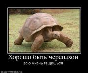 Прикрепленное изображение: 1292605267_demotivators_01.jpg